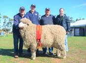 Mulloorie stud principal Paul, Darcy, Peter and Lara Meyer, holding the Ram of the Year. 