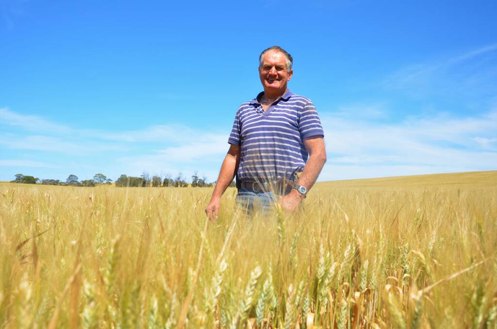 CASH FLOW: Tarlee graingrower Mark Hill has grown durum for 35 years and believes it can provide a cash flow boost. 