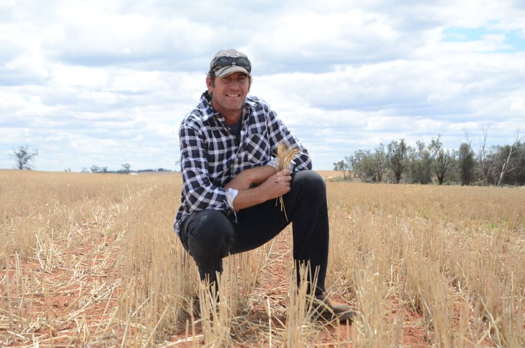 YIELD RISE: Jason Rover, Paringa, had a 50 per cent increase in wheat crop yields after introducing vetch into his rotation two years ago. 