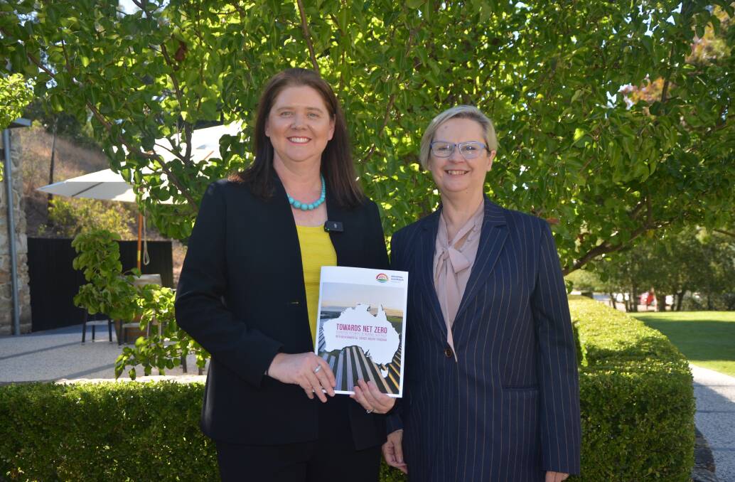 Regional Australia Institute chief executive officer Liz Ritchie and Primary Industries and Regional Development Minister Clare Scriven. Picture by Vanessa Binks 