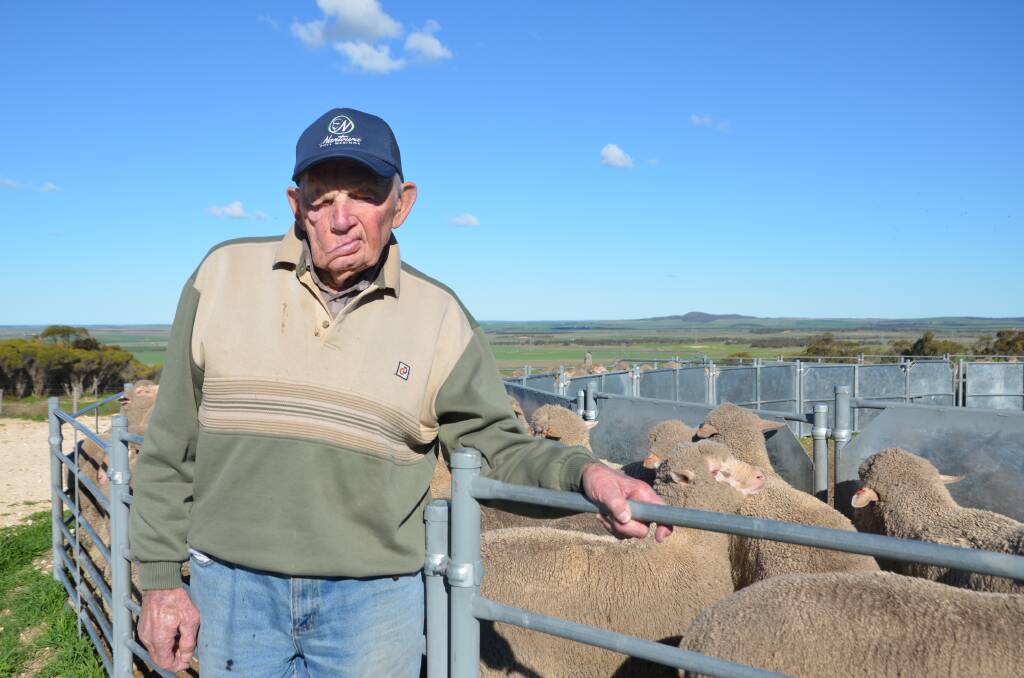 LONG LEGACY: Wharminda farmer Geoff Prime has farmed for 80 years and still enjoys helping in the sheep yards. 
