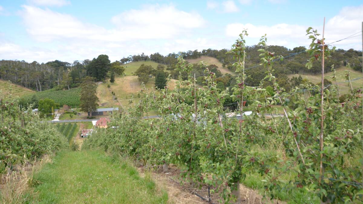 Adelaide Hills' niche industry to grow