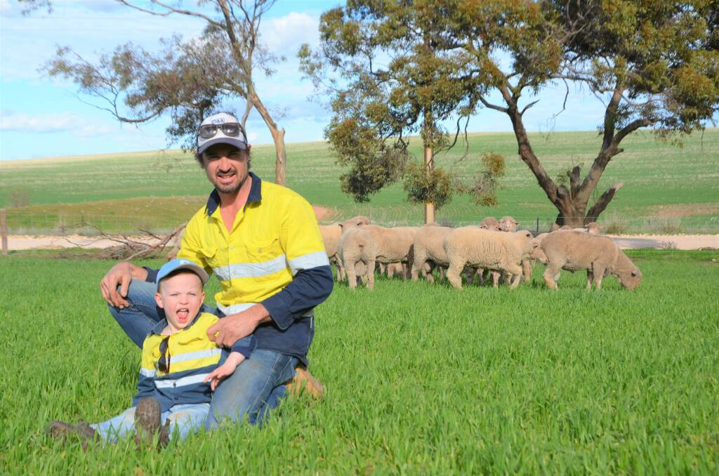 Brinkworth mixed farmer Tom Weckert with his 3.5-year-old son Oliver and a selection of Prime SAMM and Merino rams. 