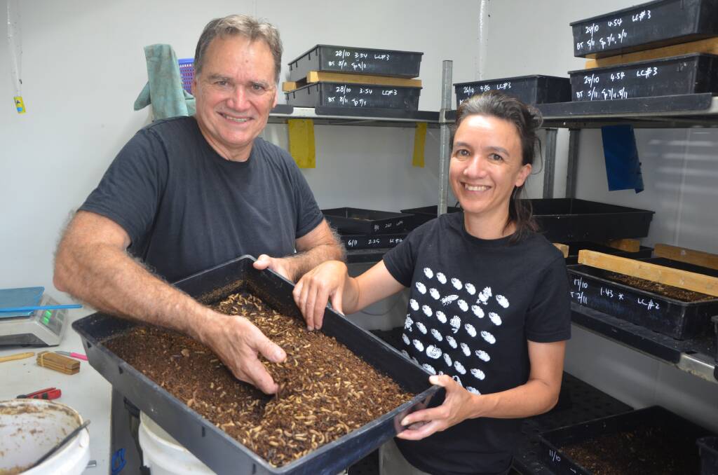 Chris and Jeannine Malcolm, Nuriootpa, are producing high-protein products from black soldier fly larvae for agricultural and aquacultural markets. Picture by Vanessa Binks. 