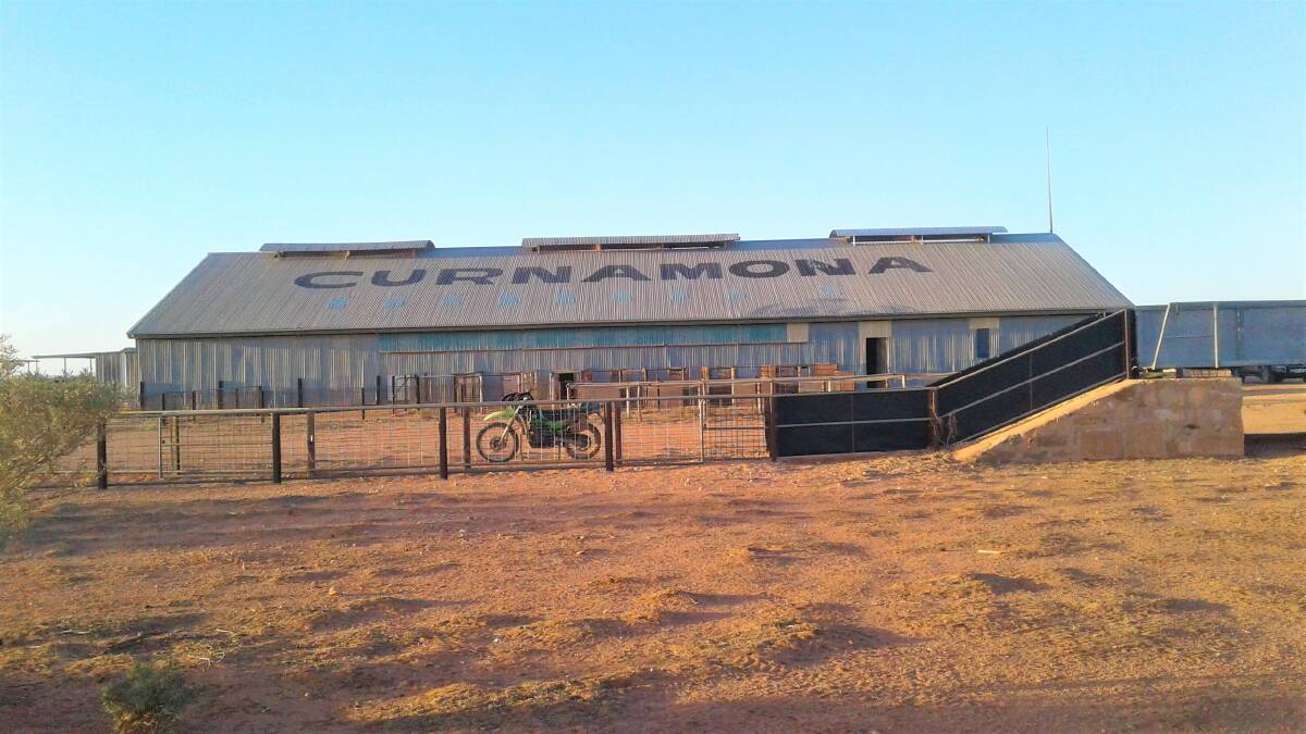 ICONIC SIGHT: Curnamona Station's woolshed has remained a part of SA's outback landscape for 100 years. 