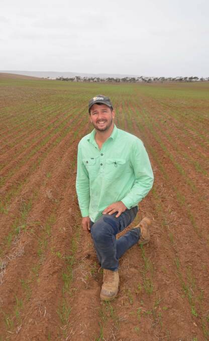NEW TACTIC: Bute graingrower James Venning has sown winter wheat variety DS Bennett for the first time to reduce the risk of frost damage in low-lying paddocks. 
