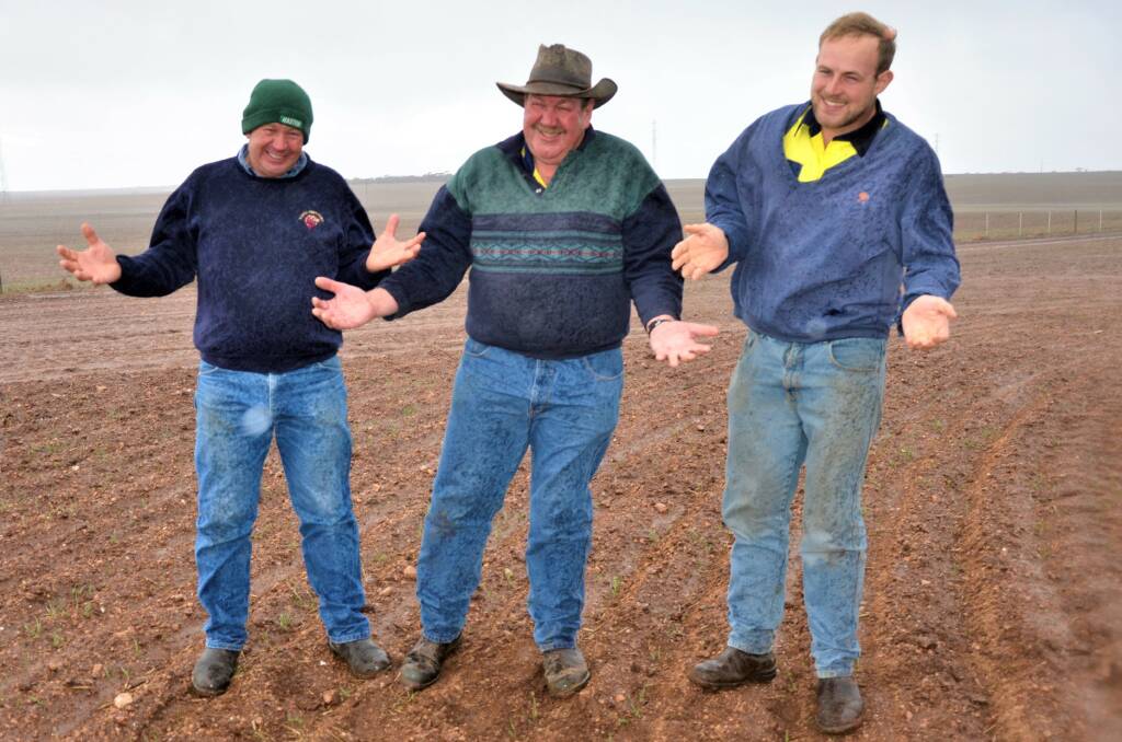 RAIN ARRIVES: Michael, Paul  and Greg Doering farm from Truro to Neales Flat. They have written off multiple crops and are making plans for next season instead. 
