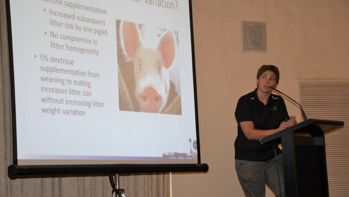 LATEST UPDATE: SunPork Farms researcher Dannielle Glencorse discussing sow infertility at the Pork Industry Day at Tanunda last month. 