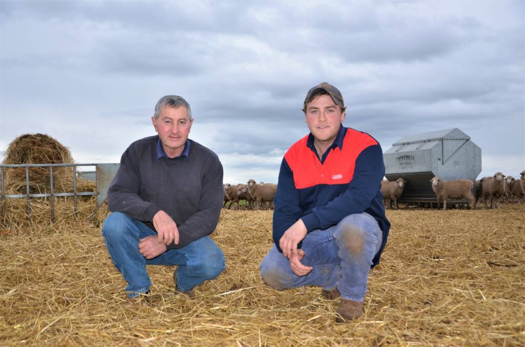 HEALTH BOOST: Balaklava producers Philip Shepherd and his son Tim have introduced mineral and micronutrient supplements to their feeding program to combat ewe pregnancy toxemia. 