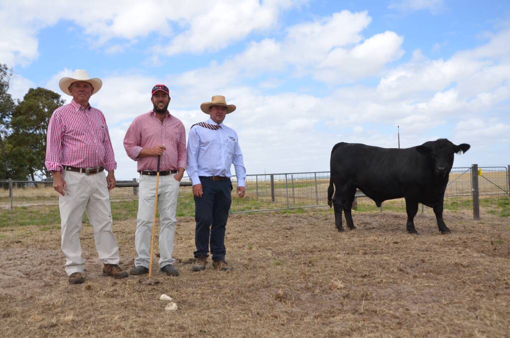 BEEF BOOM: Lancaster black Simmental stud principals Tim and Henry Cartledge with Spence Dix & Co's Jono Spence and Quokka Q310. 