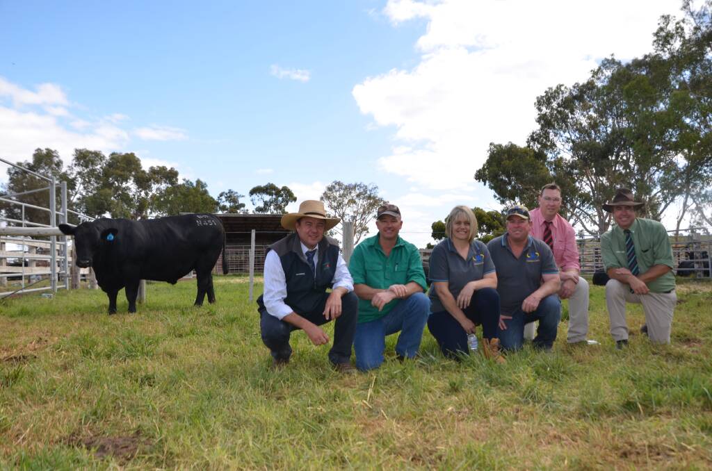 MANDAYEN: Spence Dix and Co stud stock's Jono Spence, buyers Russell Kamp, Willalooka, stud managers Mandy and Damian Gommers, Elders Hamilton stud stock's Ross Milne and Landmark stud stock's Richard Miller, with one of the $18,000 top price Angus bulls.  