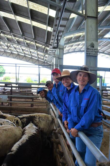 HAPPY VENDOR: Cooranga's Henry Kroemer, Nathan James, Alex and Meg Ross and Wendy James-Ross with the Speckle Park offering, which made to $2620 at the Naracoorte weaner steer sale.