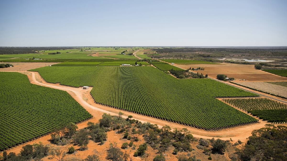 SA wine businesses gain vital support