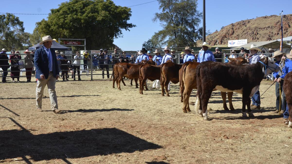 Alice Springs Show dealt blow with sudden cancellation #UPDATED
