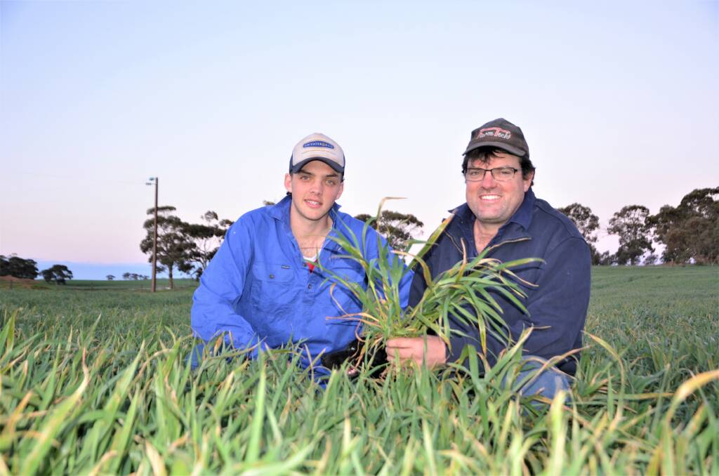 INSURANCE POLICY: Ngapala croppers Ethan Pfitzner and his father Anthony in a paddock of oats that was sown on April 23. 
