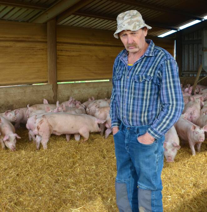 SHORT LIVED: Point Pass pork producer Roger Schutz has been enjoying higher returns, but fears it could change soon. 