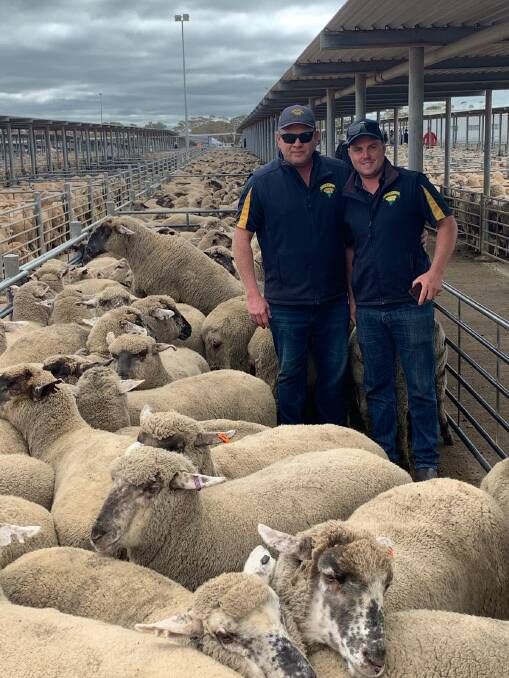RECORD PEN: EP Livestock's Richard Hill and Scott Masters with the $350 Merino Suffolk crossbred lambs from Mount Drummond. 