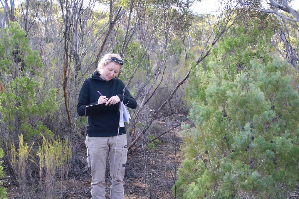 The Murraylands and Riverland Landscape Board recently welcomed their newest recruit Melissa Burford (pictured) to the Landscape Ecology team as a Threatened Fauna Ecologist. 