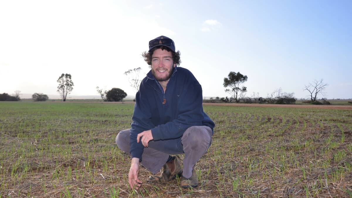 Seeding accuracy lifted for Adelaide Plains croppers