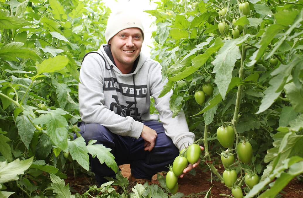 BRIGHT FUTURE: Young Grower of the Year Award winner Daniel Hoffmann, Penfield, aims to help protect the horticulture industry against growing challenges. 