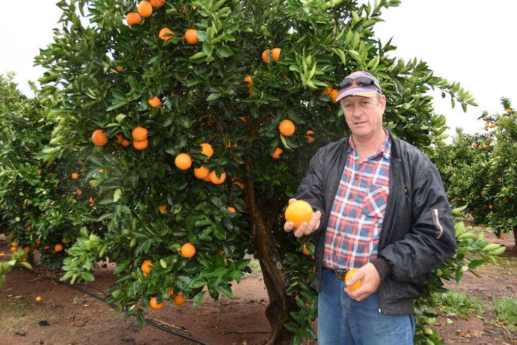 WORKERS WELCOMED: Citrus SA chair Mark Doecke is confident the regional quarantine facility will reduce labour shortages in the Riverland region. 