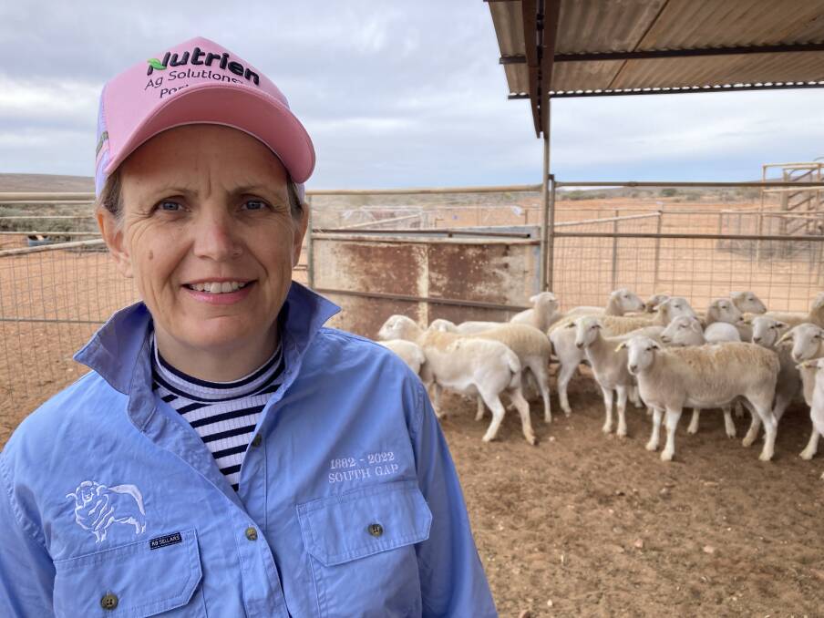 PRODUCTION CEASED: South Gap Pastoral's Kate Greenfield via Pt Augusta believes industry is at a crossroad with mulesing practices and has decided to cease Merino wool production this year to avoid further challenges. 