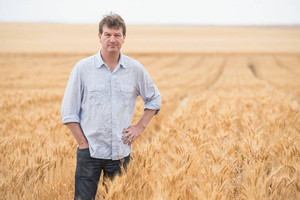 NEW FINDINGS: CSIRO group research leader Rick Llewellyn said using edge-row seeding to achieve stronger establishment and crop competition had a reliable impact on brome grass seed production.
