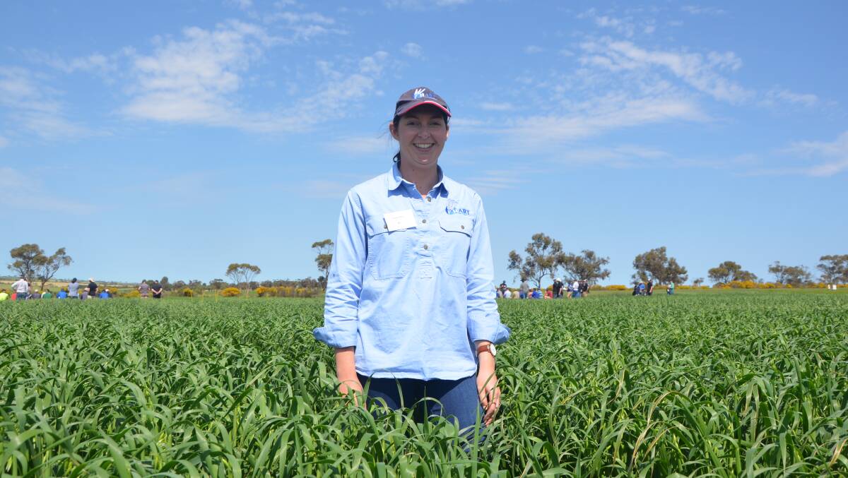 Hart research and extension manager Rebekah Allen discussed a new export oaten hay project at a recent field day. Picture by Vanessa Binks 