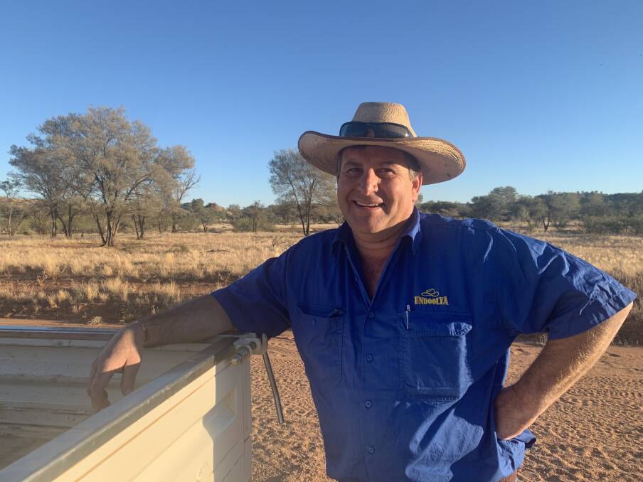 REBUILD BEGINS: Undoolya Station's Ben Hayes will hang onto this season's females instead of selling them, to rebuild his herd after destocking throughout the drought. 