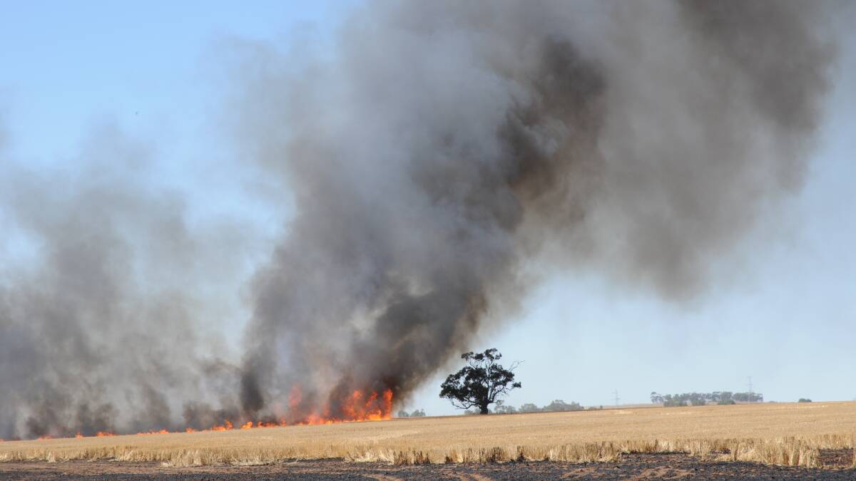New support for bushfire affected businesses