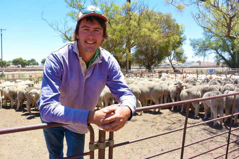 UTILISING FEED: Brinkworth mixed-farmer Alex Kreig snapped up a heap of lambs at Jamestown's final market of the year to make use of spilled grain on the family farm. 