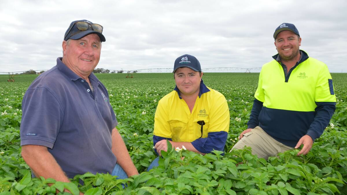 DRIVEN TO SUCCEED: Russell Dabinett and his sons Wade and Nick in an irrigated potato crop. 