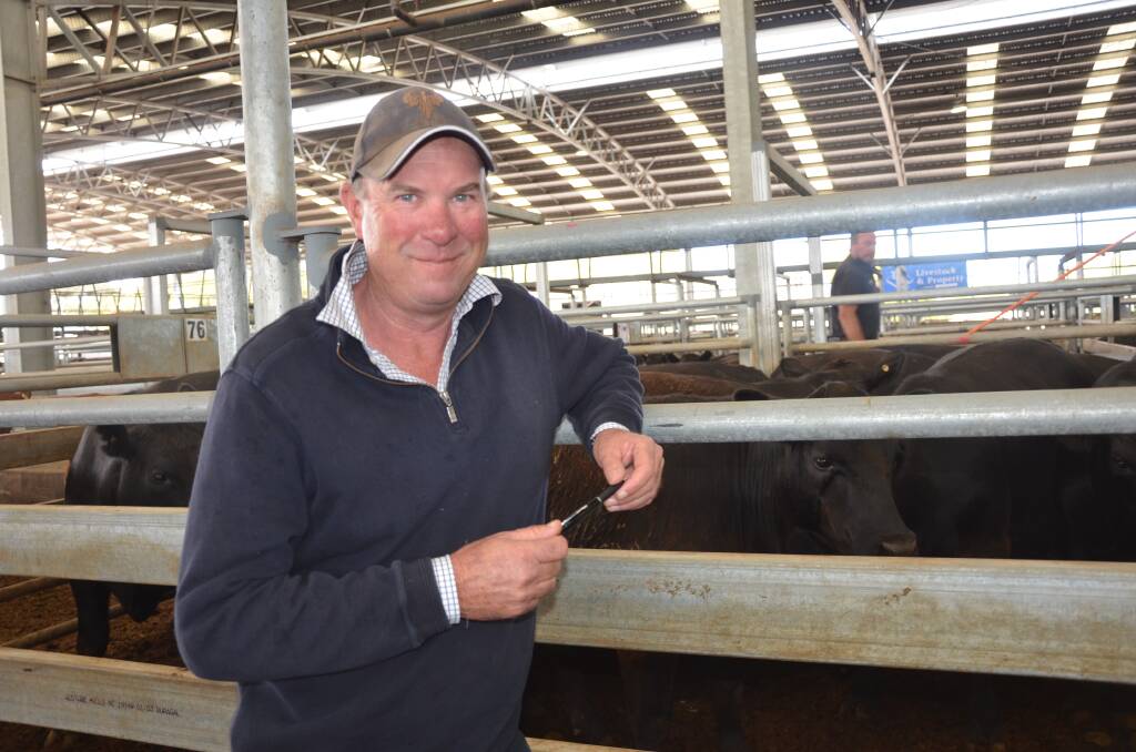 READY-TO-BID: Penola producer Allan Kain will try his luck at this week's Naracoorte cattle market. 