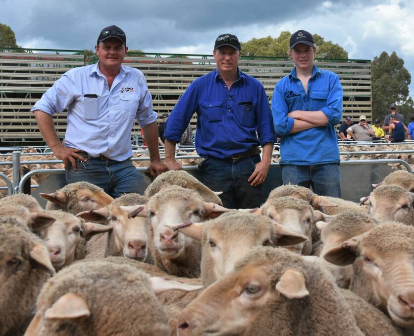 BUMPER SALE: Spence Dix & Co's Joe Scammell with Angus Stockman and son James, Glenowie Poll Merino, Burra, who received the Mid North Feature Ewe sale's second-highest price of $382 for 402 of their 1.5-year-old ewes. 