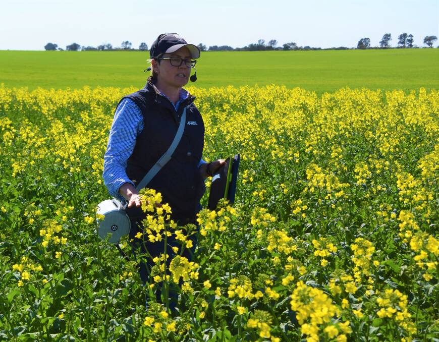 ROSEWORTHY SITE: FMC southern regional manager Simonne Read discussing a trial at Roseworthy using Overwatch herbicide. 
