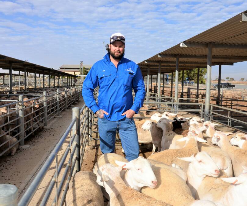 DEMAND RISES: Balaklava producer Jon Coleman at the Dublin sheep market on Tuesday this week. He sold 26 Dorper lambs for $185. 