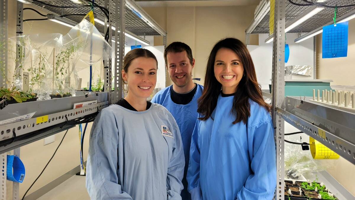University of Adelaide researchers Emily Mackie, Dr Andrew Barrow and Dr Tatiana Soares da Costa have repurposed a molecule to help kill weeds. Picture Supplied. 