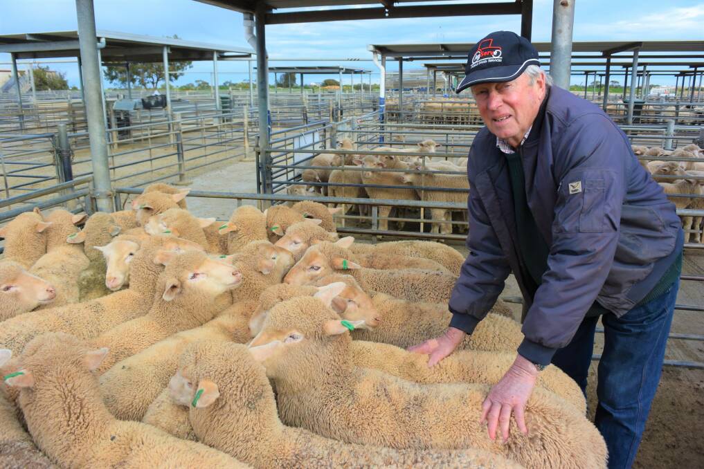 PRODUCERS WAIT: Kapunda producer Robert Humphris "tested" the market at the SA Livestock Exchange at Dublin this week, and made $186 for new-season lambs. 