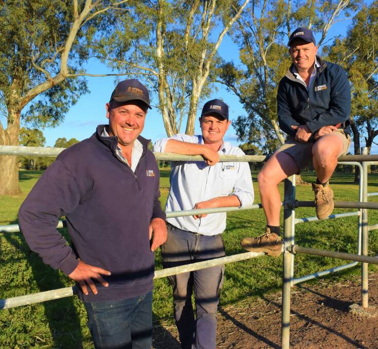 NEW SALE: Spence Dix & Co's Daniel Doecke, Joe Scammell and Daniel Griffiths at the Marrabel Rodeo Grounds, which will become a pop-up saleyard. 