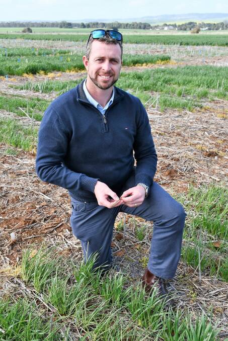 WEED TEST: GRDC crop protection officer – South Aaron Long. 
