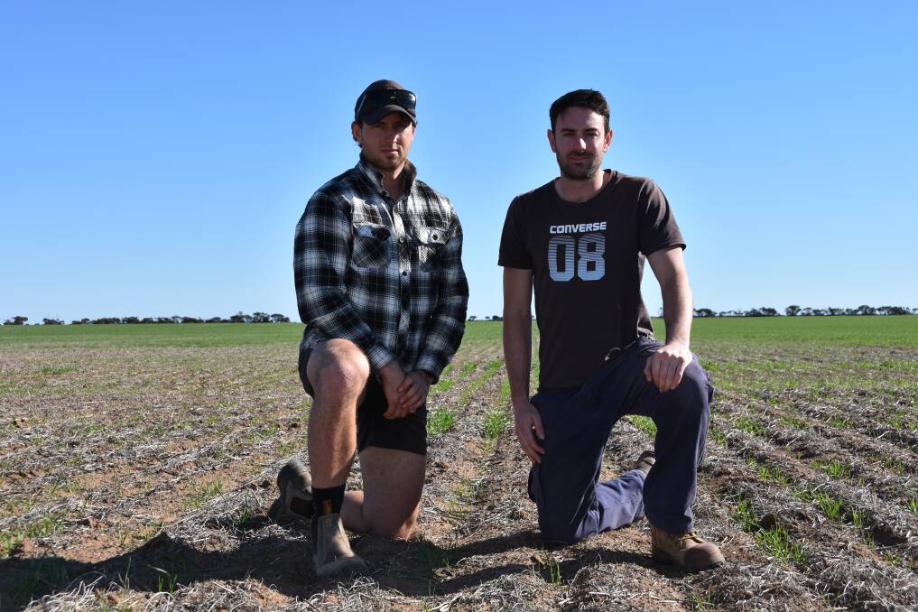 TOUGH DAYS: Brothers Hayden and Brady Norris, Rudall, are trying to remain positive about the season ahead, despite only receiving 72.5mm of rain for the year. 