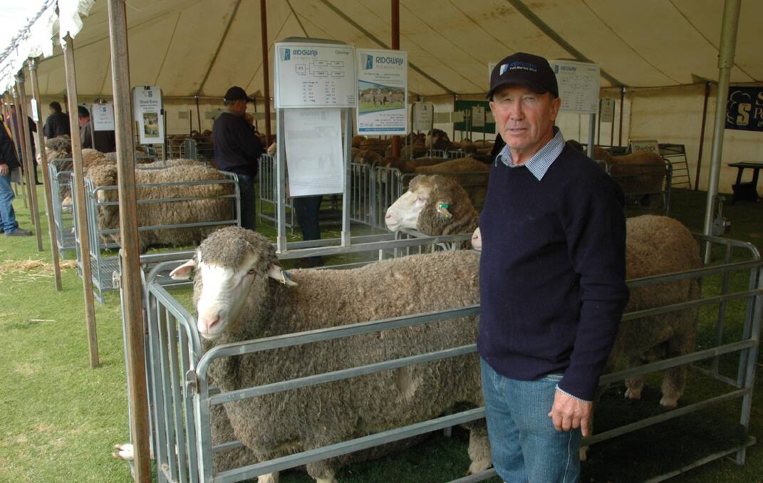 GOING AHEAD: Ric Ridgway is eager to showcase his rams at this year's field day. 