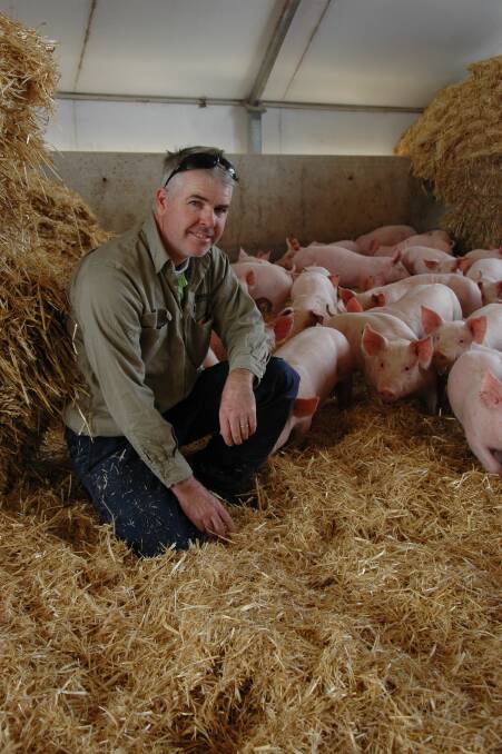 HEALTH FOCUS: Pork SA chairman Mark McLean says educating pig owners about the risks associated with illegal pig feeding will remain a priority for the industry. 