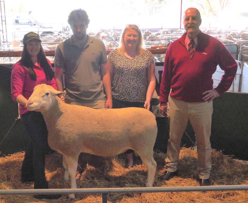 GOOD WIDTH: Wingamin White Suffolk stud's Caitlin Shillabeer, buyers Nathan and Courtney Geue, Kingston SE, and Elders stud stock's Tom Penna. 