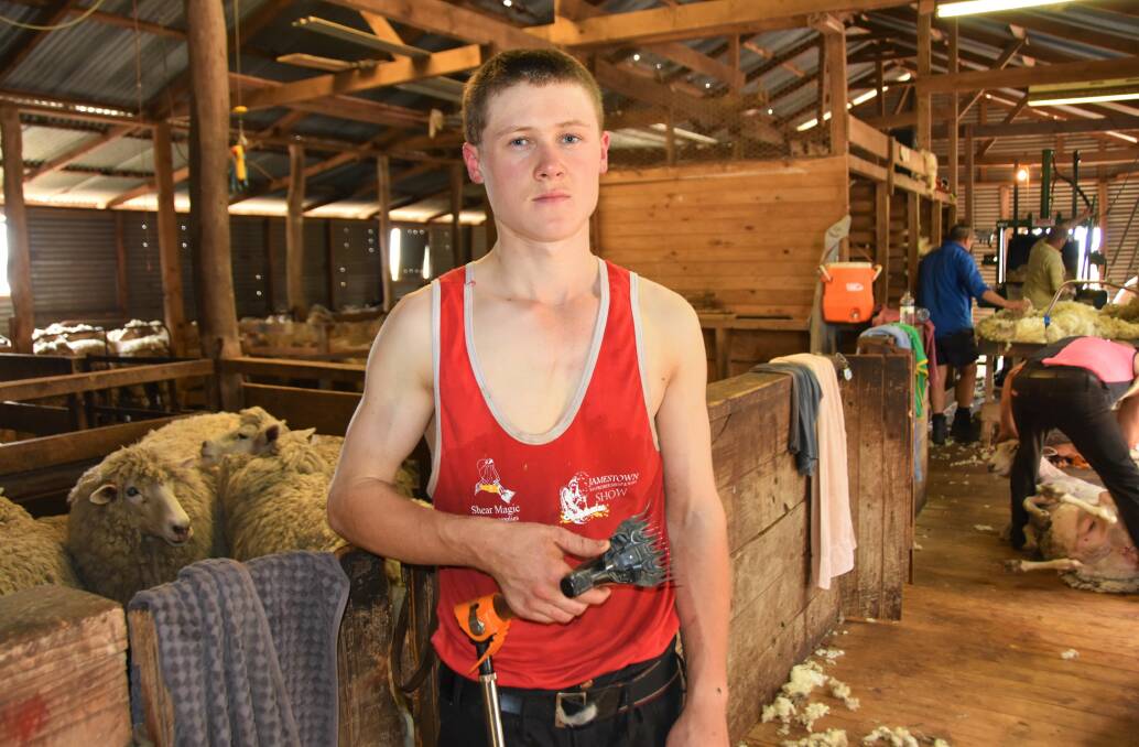 FUTURE FOCUS: Young shearer Joseph Jacka, Jamestown, completed a Certificate III in Shearing and believes shearing should be recognised as a trade nationwide. 