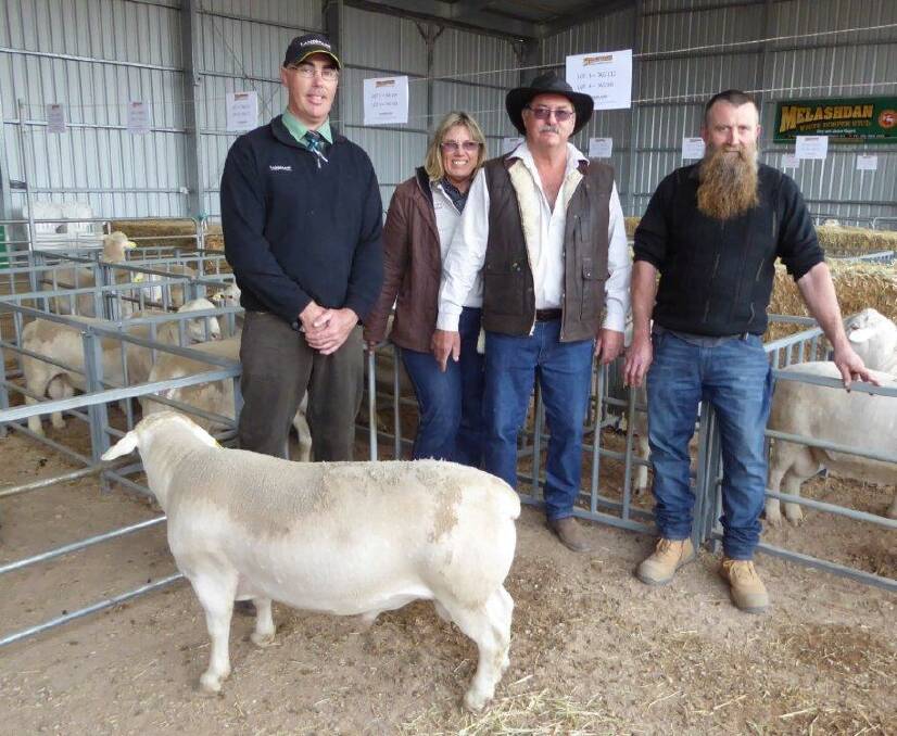 BALANCED RAM: Landmark Tumby Bay livestock agent Justin Thompson, stud principals Janice and Gary Fiegert and the top price ram buyer Trevor Lock, Clare. 