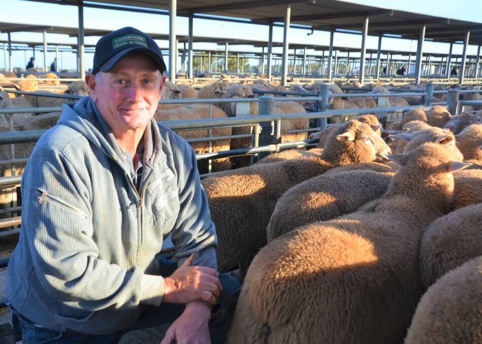 SELLING BEGINS: Eudunda's Stephen Waldhuter was pleased with the competition for his sucker lambs that were sold at Dublin on Tuesday. 