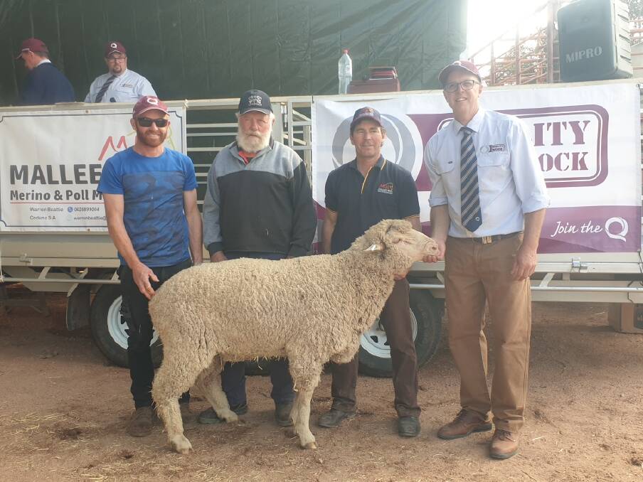 TOP BID: The $3200 top price ram buyers Reece and Les Hull, Elliston, Mallee Hill's Warren Beattie and Quality Wool's Simon Seppelt. 