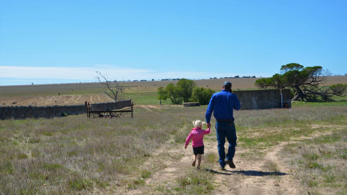 FARM HELPER: Tom Honner and his daughter Maeve, 3, checking sheep at Roscrea. 