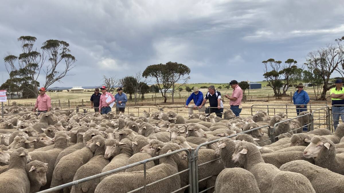 Feature ewe sale at Cleve to $344 for ewes